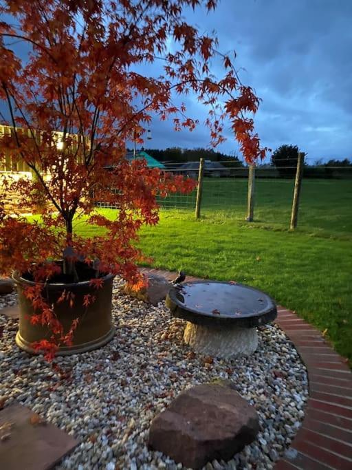 Courtyard Cottage Lockerbie Ngoại thất bức ảnh